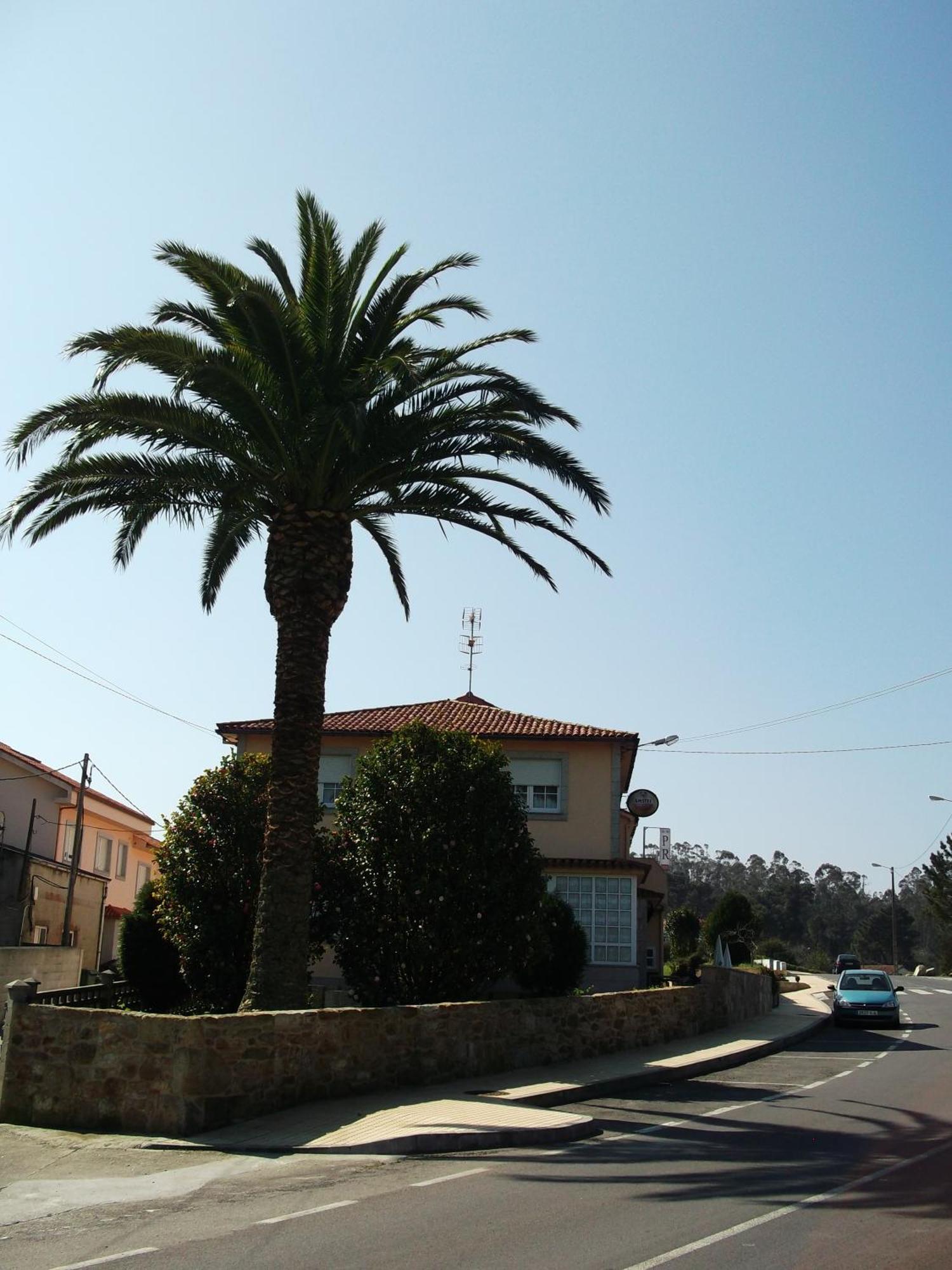 Hostal Pereirina Cee Exterior photo