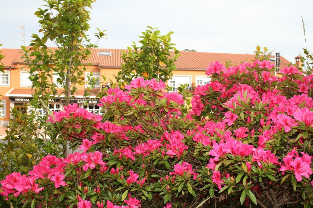 Hostal Pereirina Cee Exterior photo
